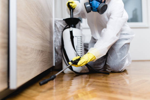 Best Insect Control  in Chilton, WI