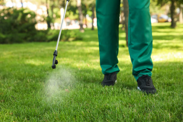 Best Termite Control Services  in Chilton, WI