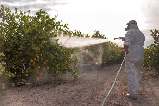 Reliable Chilton, WI Pest Control Solutions