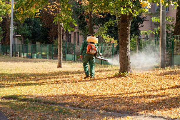 Best Pest Control Near Me  in Chilton, WI